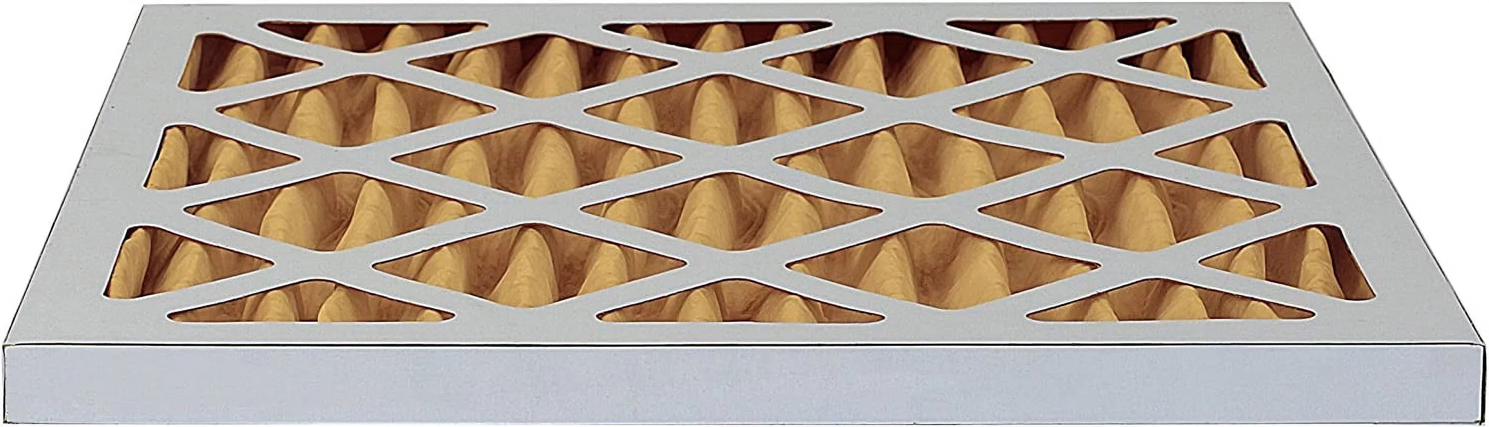 Filterbuy 19x19x1 MERV 11 Pleated HVAC AC Furnace Air Filters (2-Pack)