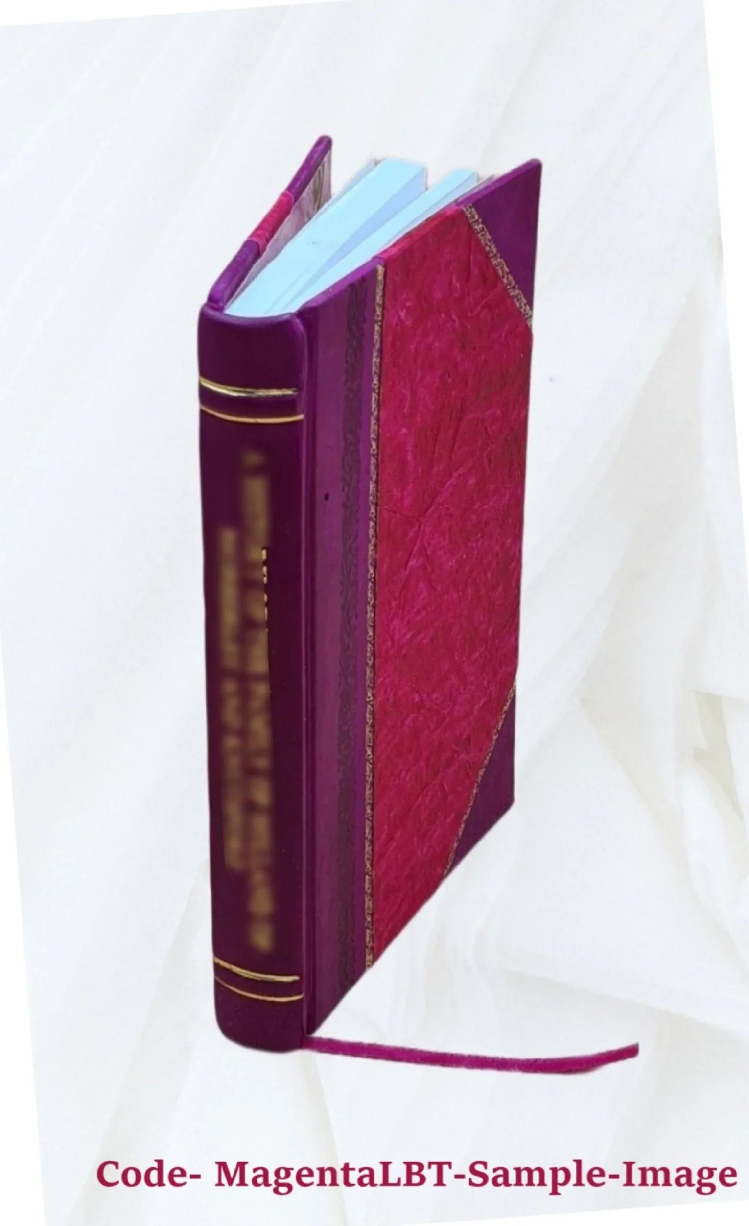 The Australian Direct Steam Navigation Company : via Panama : incorporated by royal charter bearing date 24th June, 1853. 1853 [Leather Bound]