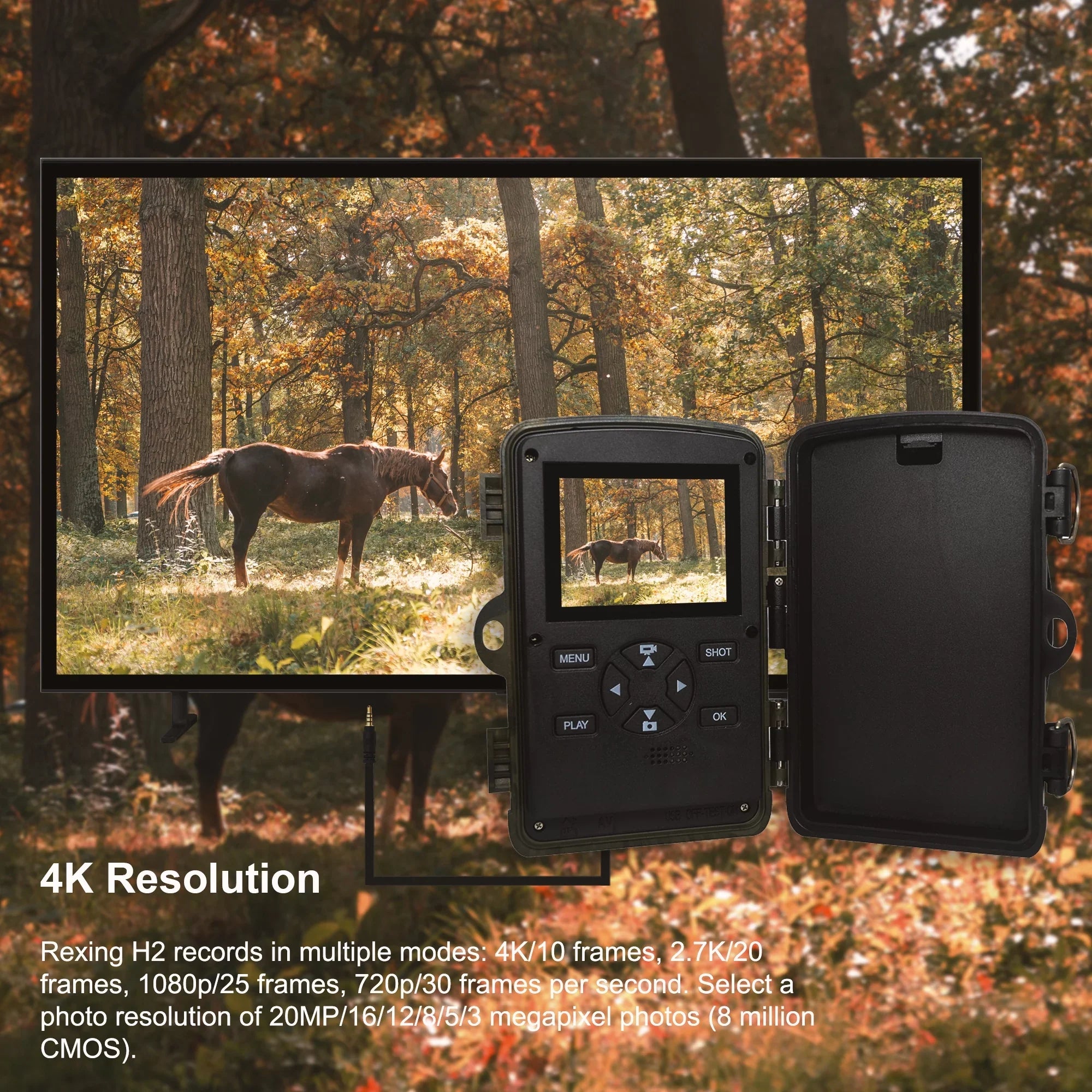 Rexing H2 20MP 4K Wi-Fi Trail Surveillance Camera for Outdoor, Hunting Cam W/ CMOS Motion Sensor
