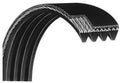 d&d Drive Belt 390 L Works with Bodyguard Fitness SS Club Executive Commercial Stepper Climber