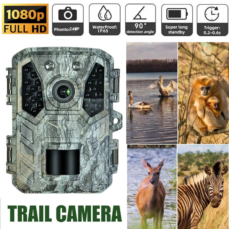 Mini 24MP Hunting Trail Camera Wildlife Waterproof Cam 1080P with Night Vision