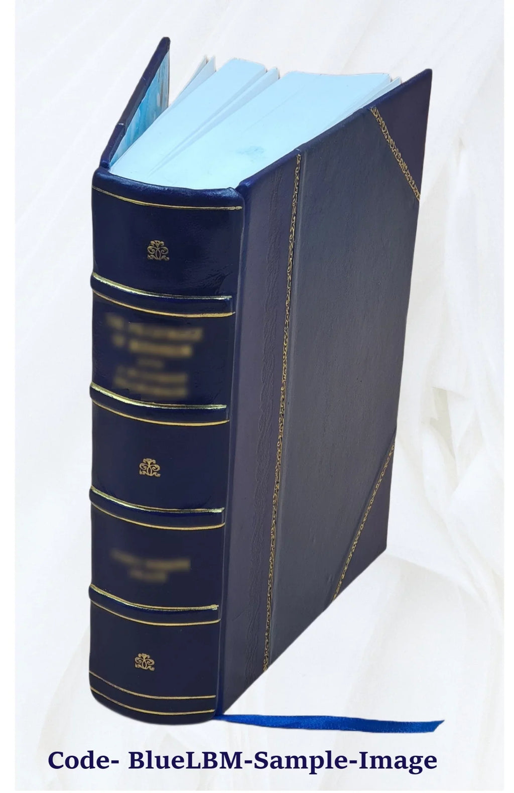 Chroniques de Genève Volume 2 2001 [Leather Bound]