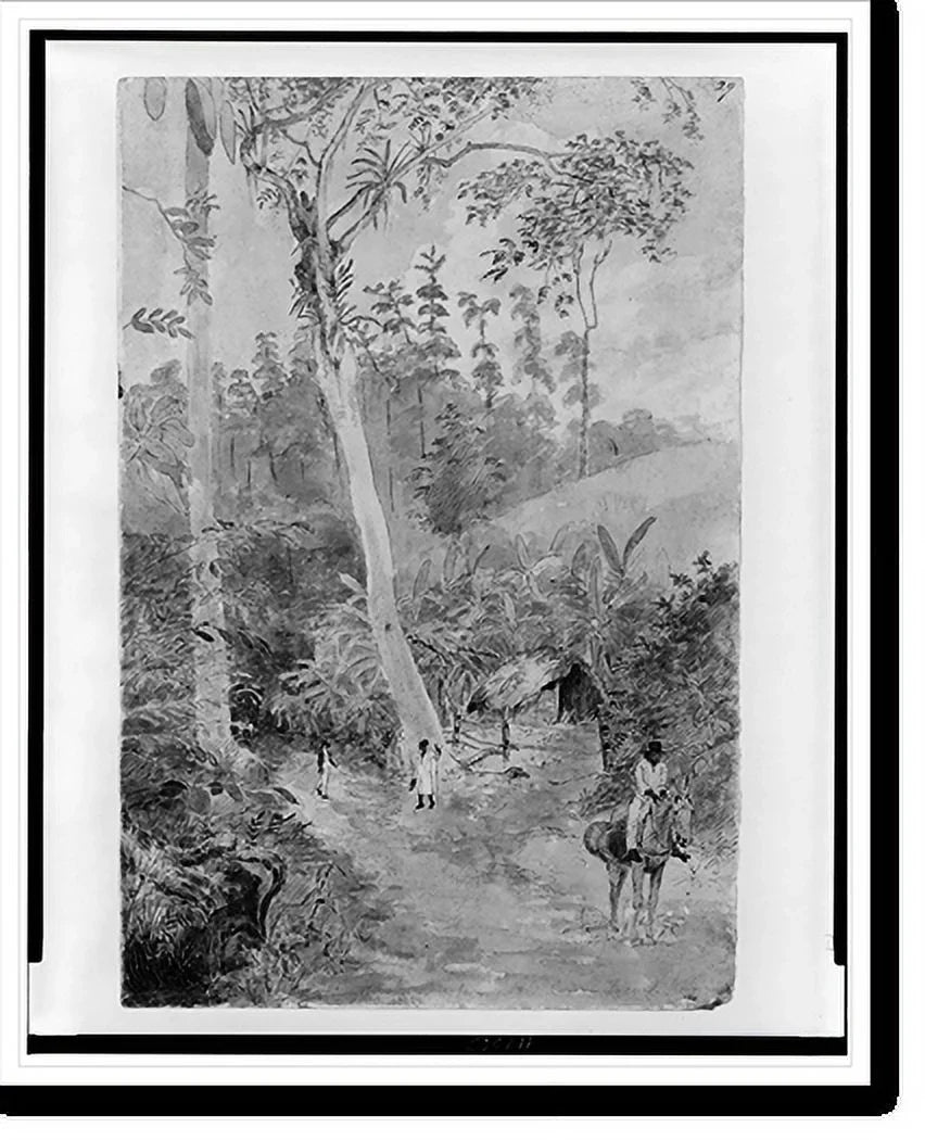 Historic Framed Print, Plantain Walk - Bookkeeper - Watchman and Hut - man with casks of Top-notch in stirrup, 17-7/8" x 21-7/8"