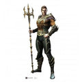 Aquaman - Injustice Game Cardboard Cutout