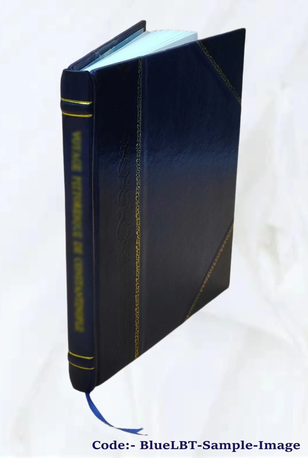 Mes Épreuves (par l'abbé J.-B. Beaulieu) 1869 [Leather Bound]