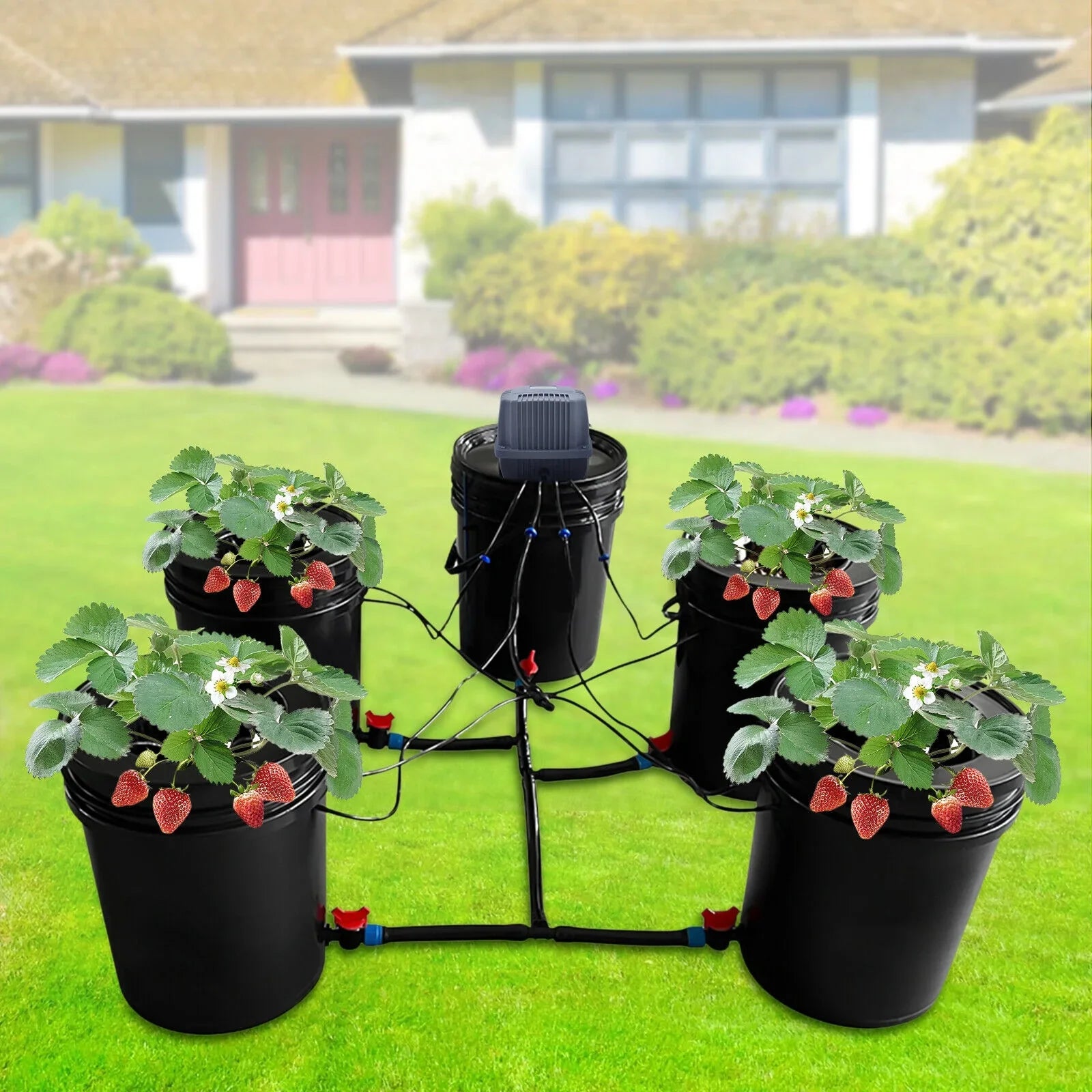 Miumaeov Hydroponics Growing System 5 Gallon Hydroponic Bucket System Kit Hydroponics Growing System for Vegetables Gardening System