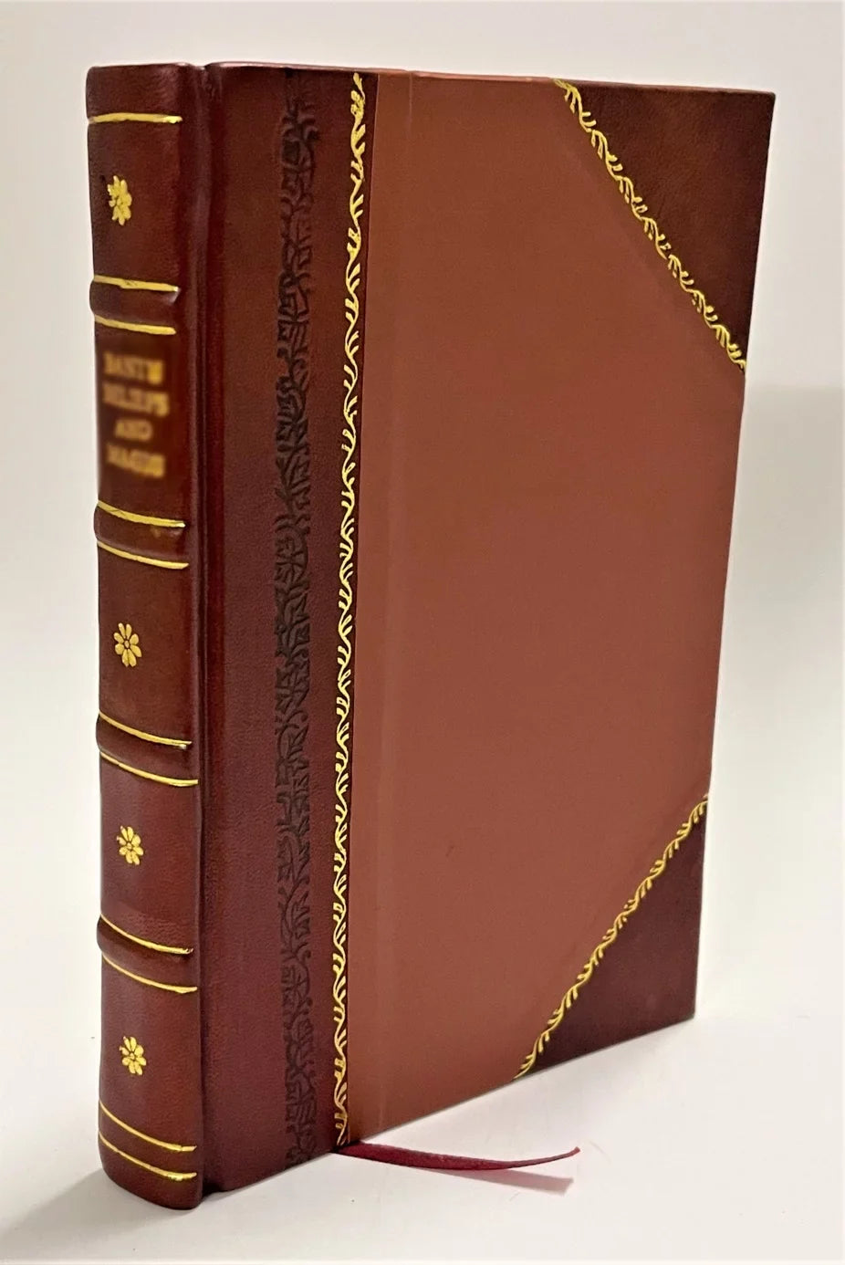 Alann-Aga / Emil Prinz von Wittgenstein (1856) [Leather Bound]