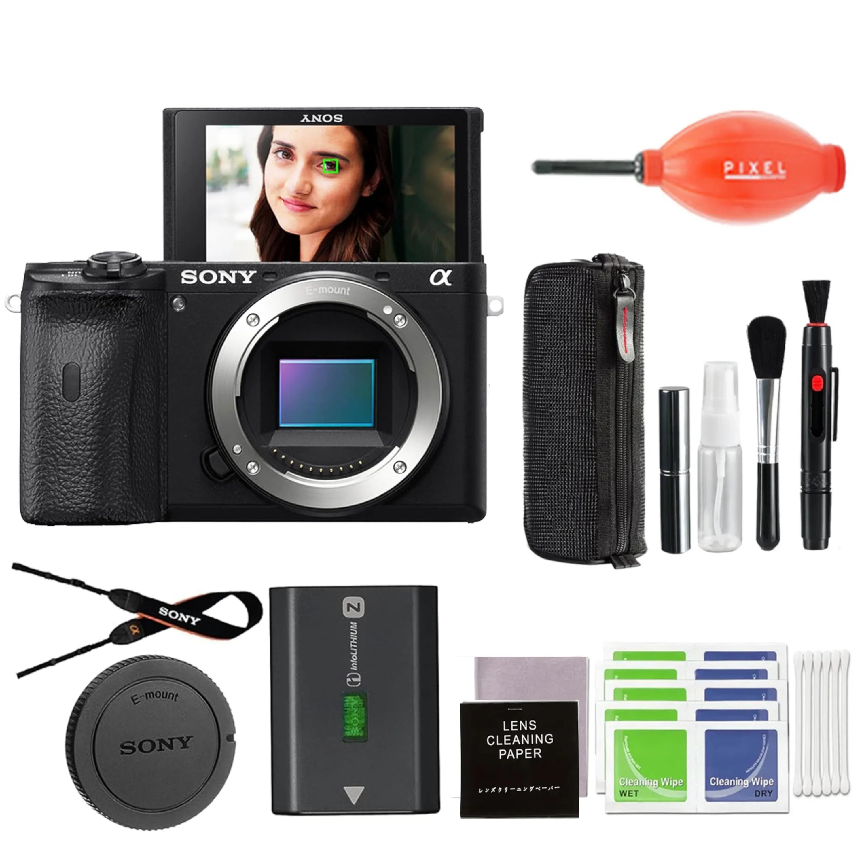 Sony a6600 Mirrorless Digital Camera Bundle with Pixel Advanced Accessories | Sony Alpha 6600