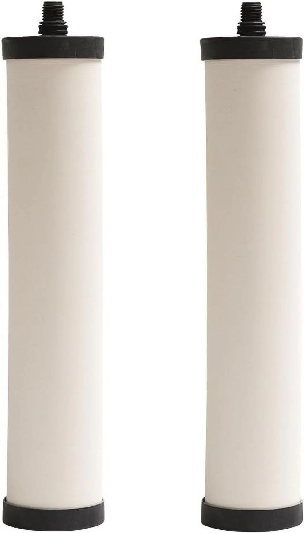 Franke FRC06-2PK Cartridge, 2 Count (Pack of 1), White