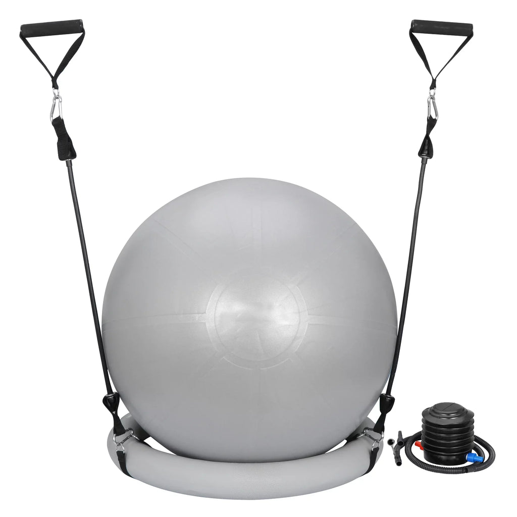 ZENSTYLE Exercise Ball Fitness Balls Stability Ball Anti- Burst for Yoga,Pilates, Birthing, Balance & Fitness with Workout Guide & Quick Pump