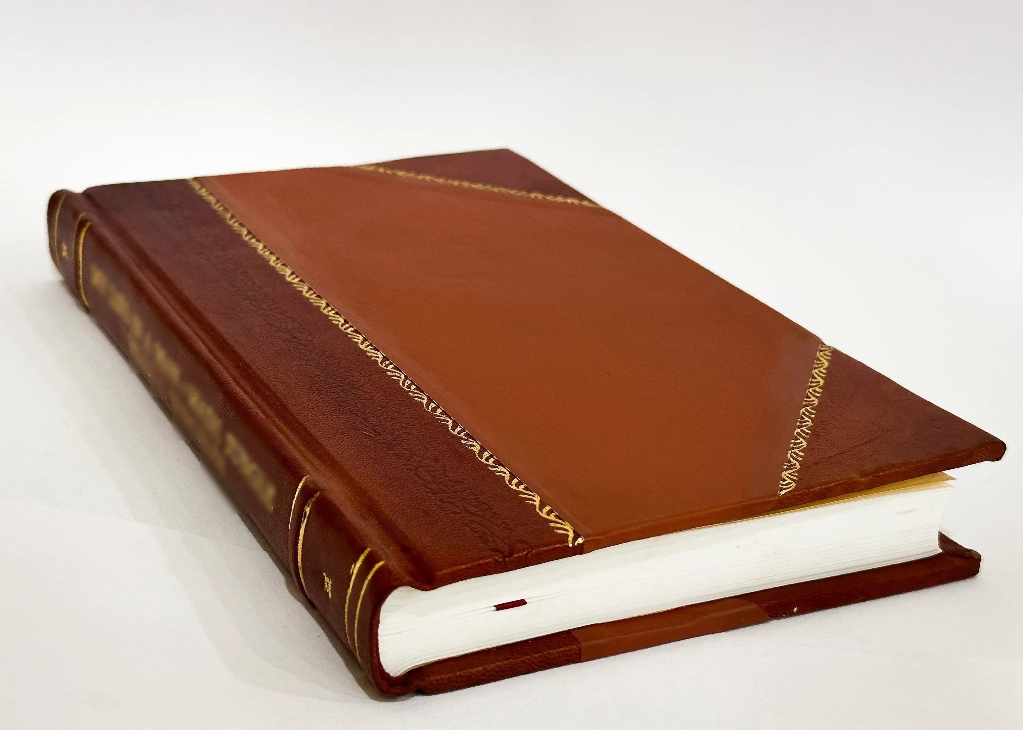 De Notione Et Historia Cautionis Praedibus Praediisque / Ernst Zimmermann (1857) (1857) [Leather Bound]