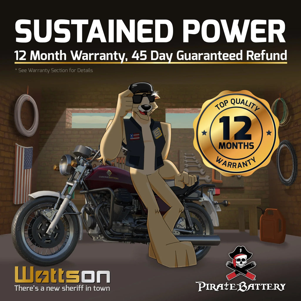 Pirate Battery Ytx9-Bs Motorcycle Battery for Suzuki 600Cc Gsf600S Bandit 2002