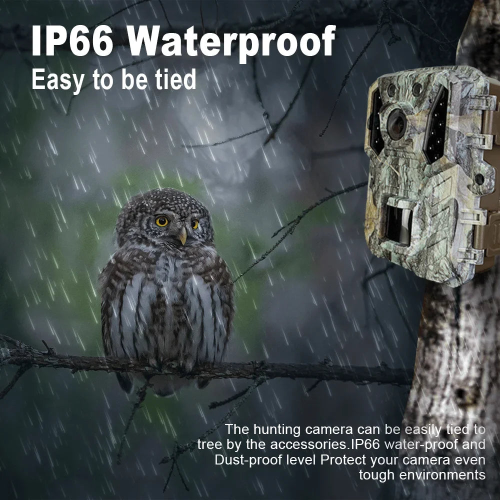 Mini 24MP Hunting Trail Camera Wildlife Waterproof Cam 1080P with Night Vision