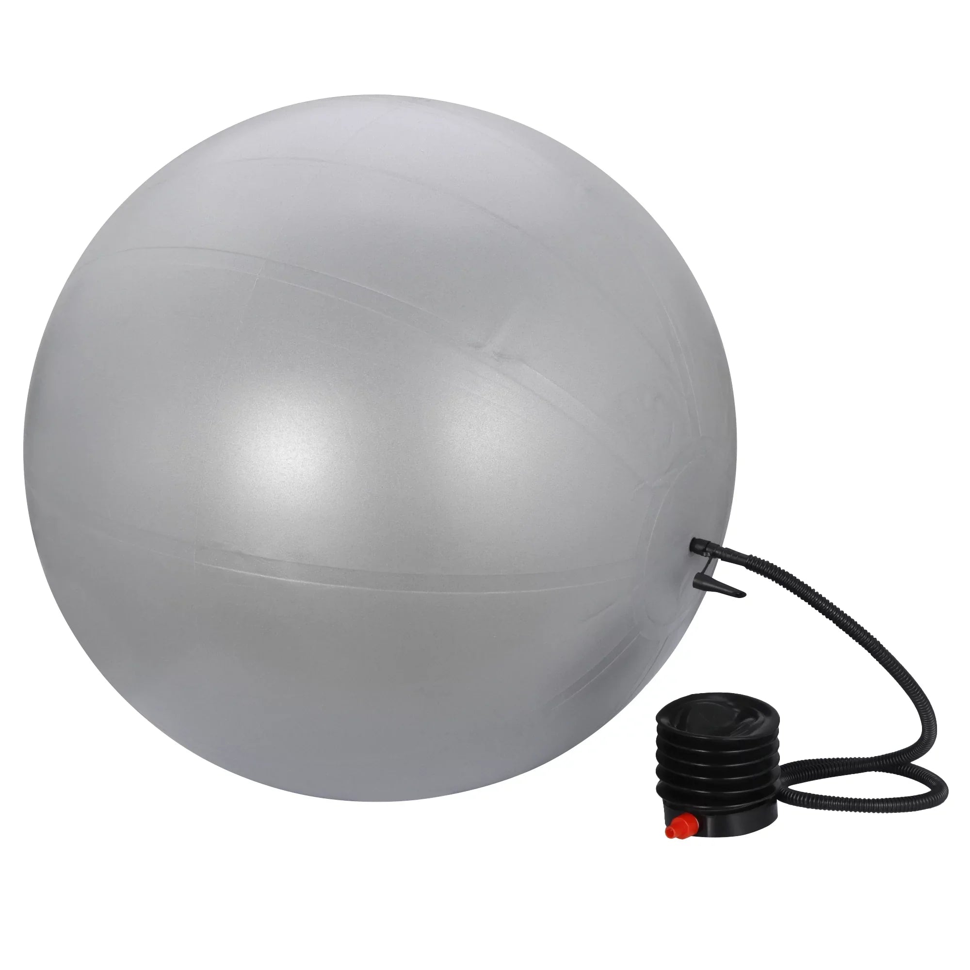 ZENSTYLE Exercise Ball Fitness Balls Stability Ball Anti- Burst for Yoga,Pilates, Birthing, Balance & Fitness with Workout Guide & Quick Pump