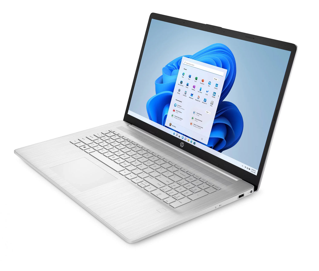 HP 17.3" FHD Notebook AMD Ryzen 5 5500U 8GB RAM 256GB SSD Natural Silver