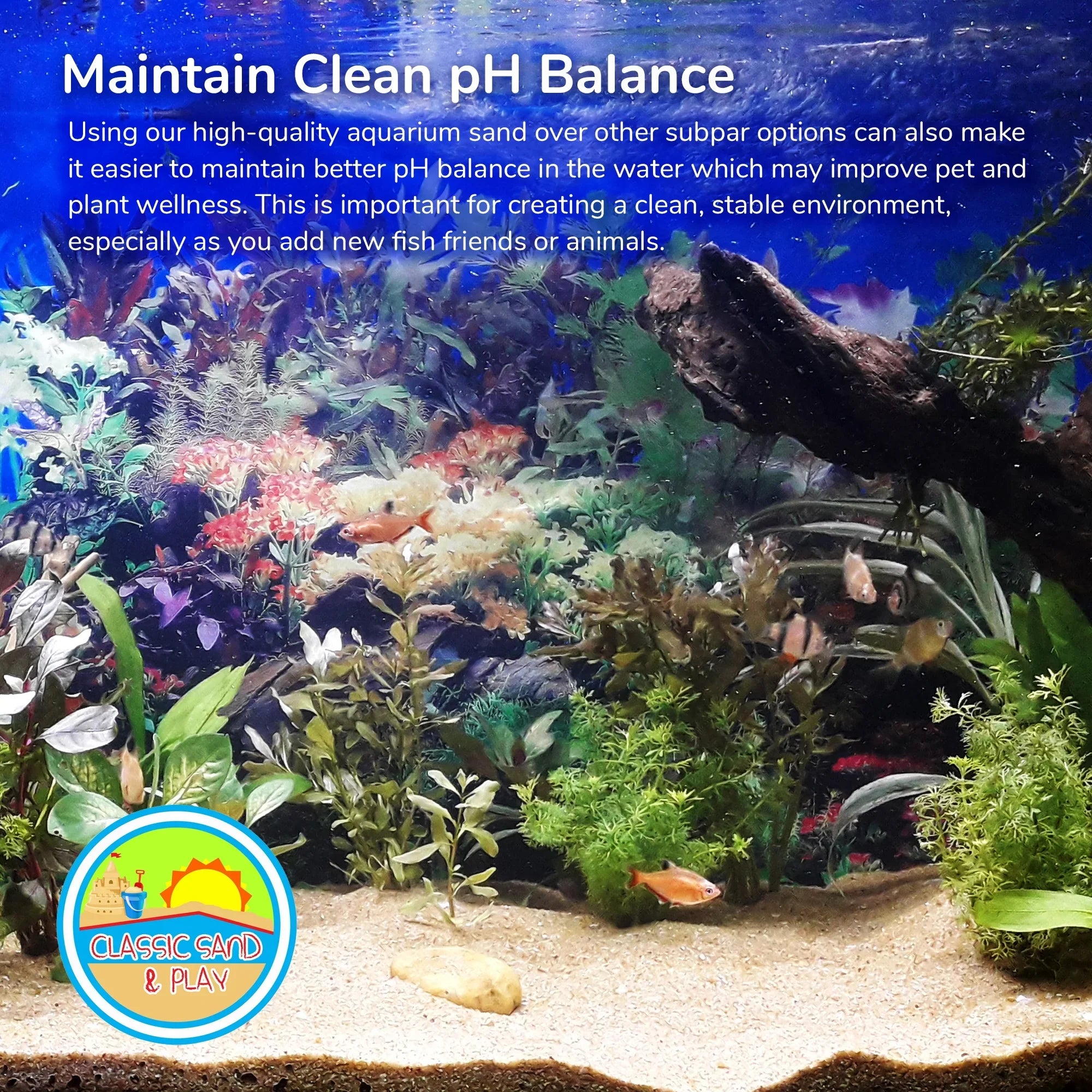 CLASSIC SAND & PLAY Natural Aquarium Sand for Freshwater and Saltwater Tanks, 40 lb. Yellow