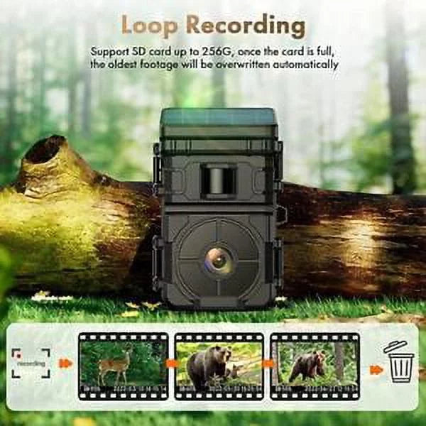 24MP HD Solar Trail Camera Rechargeable Game Wildlife Hunting IP66 Night Vision